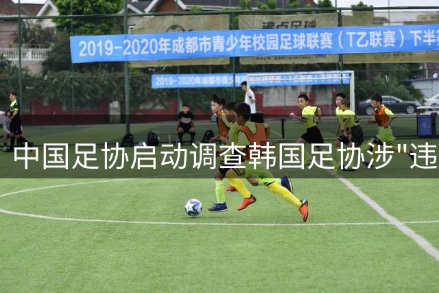 中国足协启动调查韩国足协涉"违规接待"中方人员事件