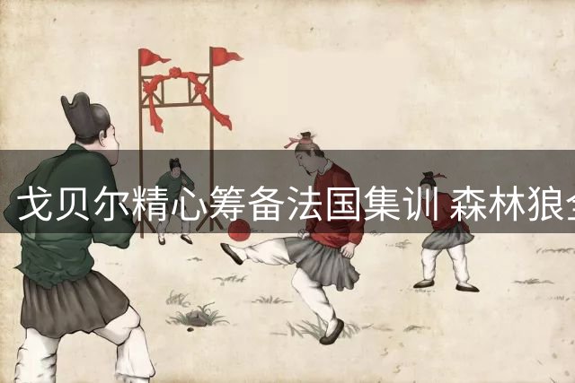 戈贝尔精心筹备法国集训 森林狼全队埃菲尔铁塔前合影引热议