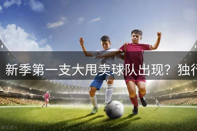 新季第一支大甩卖球队出现？独行侠换代克莱欧文都得走